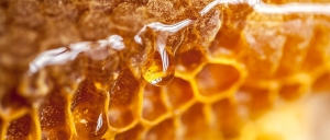 کدام مواد غذایی دراثراضافه کردن عسل، ارزش غذایی دوچندان پیدا می کنند؟
